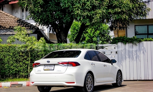 ซื้อ รถมือสอง Toyota Altis ขาว รถยนต์ ใน %{เมือง} ใน กรุงเทพมหานคร ซื้อ รถมือสอง Toyota Altis ขาว รถยนต์ ใน %{เมือง} ใน กรุงเทพมหานคร