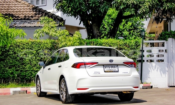 ซื้อ รถมือสอง Toyota Altis ขาว รถยนต์ ใน %{เมือง} ใน กรุงเทพมหานคร ซื้อ รถมือสอง Toyota Altis ขาว รถยนต์ ใน %{เมือง} ใน กรุงเทพมหานคร