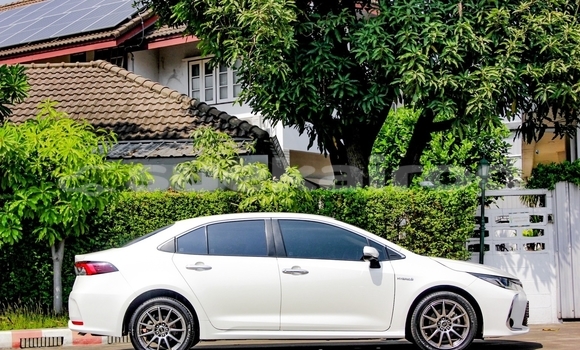 ซื้อ รถมือสอง Toyota Altis ขาว รถยนต์ ใน %{เมือง} ใน กรุงเทพมหานคร ซื้อ รถมือสอง Toyota Altis ขาว รถยนต์ ใน %{เมือง} ใน กรุงเทพมหานคร