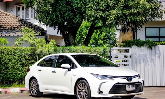 ซื้อ รถมือสอง Toyota Altis ขาว รถยนต์ ใน %{เมือง} ใน กรุงเทพมหานคร ซื้อ รถมือสอง Toyota Altis ขาว รถยนต์ ใน %{เมือง} ใน กรุงเทพมหานคร