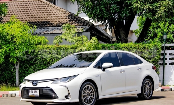 ซื้อ รถมือสอง Toyota Altis ขาว รถยนต์ ใน %{เมือง} ใน กรุงเทพมหานคร ซื้อ รถมือสอง Toyota Altis ขาว รถยนต์ ใน %{เมือง} ใน กรุงเทพมหานคร