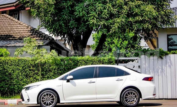 ซื้อ รถมือสอง Toyota Altis ขาว รถยนต์ ใน %{เมือง} ใน กรุงเทพมหานคร ซื้อ รถมือสอง Toyota Altis ขาว รถยนต์ ใน %{เมือง} ใน กรุงเทพมหานคร