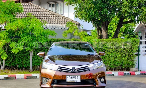 Buy Used Toyota Altis Brown Car in Bangkok in Bangkok
