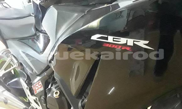 Buy Used Honda CBR Black Bike in Nakhon Ratchasima in Nakhon Ratchasima Buy Used Honda CBR Black Bike in Nakhon Ratchasima in Nakhon Ratchasima