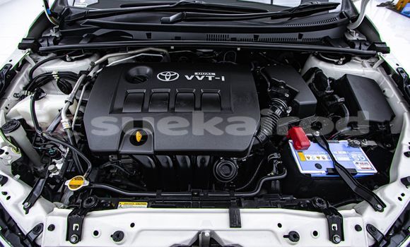 ซื้อ รถมือสอง Toyota Altis ขาว รถยนต์ ใน %{เมือง} ใน กรุงเทพมหานคร ซื้อ รถมือสอง Toyota Altis ขาว รถยนต์ ใน %{เมือง} ใน กรุงเทพมหานคร
