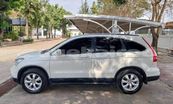 ซื้อ รถมือสอง Honda CR-V ขาว รถยนต์ ใน %{เมือง} ใน กรุงเทพมหานคร ซื้อ รถมือสอง Honda CR-V ขาว รถยนต์ ใน %{เมือง} ใน กรุงเทพมหานคร