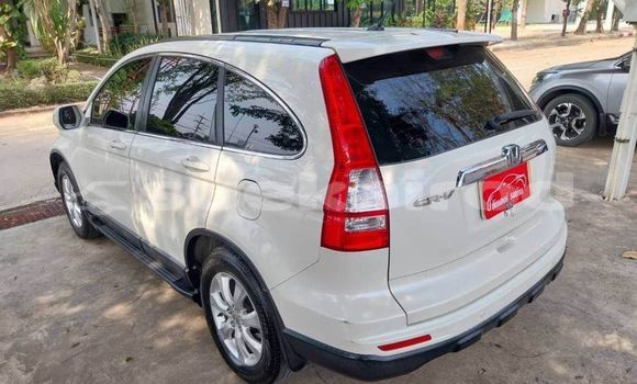 ซื้อ รถมือสอง Honda CR-V ขาว รถยนต์ ใน %{เมือง} ใน กรุงเทพมหานคร ซื้อ รถมือสอง Honda CR-V ขาว รถยนต์ ใน %{เมือง} ใน กรุงเทพมหานคร