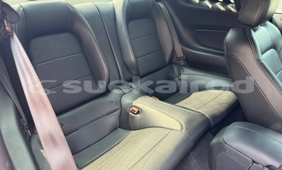 ซื้อ รถมือสอง Ford Mustang สีแดง รถยนต์ ใน %{เมือง} ใน กรุงเทพมหานคร ซื้อ รถมือสอง Ford Mustang สีแดง รถยนต์ ใน %{เมือง} ใน กรุงเทพมหานคร