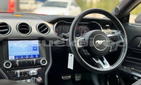 ซื้อ รถมือสอง Ford Mustang สีแดง รถยนต์ ใน %{เมือง} ใน กรุงเทพมหานคร ซื้อ รถมือสอง Ford Mustang สีแดง รถยนต์ ใน %{เมือง} ใน กรุงเทพมหานคร