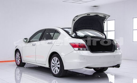 Buy Used Honda Accord White Car in Bangkok in Bangkok Buy Used Honda Accord White Car in Bangkok in Bangkok