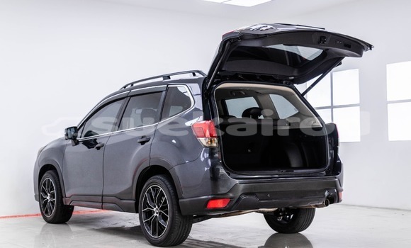 Buy Used Subaru Forester Other Car in Bangkok in Bangkok Buy Used Subaru Forester Other Car in Bangkok in Bangkok