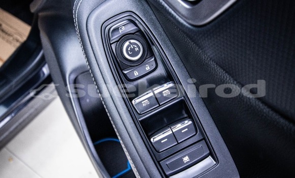 Buy Used Subaru Forester Other Car in Bangkok in Bangkok Buy Used Subaru Forester Other Car in Bangkok in Bangkok