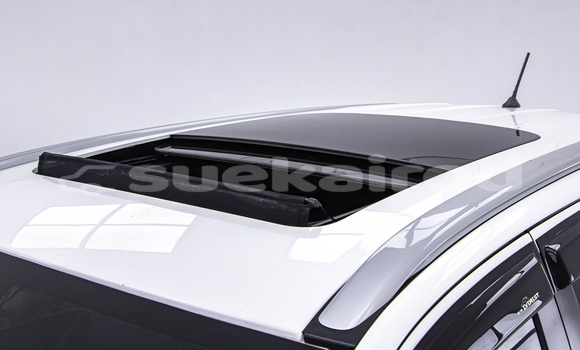 ซื้อ รถมือสอง Ford Everest ขาว รถยนต์ ใน %{เมือง} ใน กรุงเทพมหานคร ซื้อ รถมือสอง Ford Everest ขาว รถยนต์ ใน %{เมือง} ใน กรุงเทพมหานคร