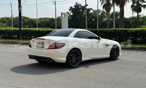ซื้อ รถมือสอง Mercedes‒Benz SLK–Class ขาว รถยนต์ ใน %{เมือง} ใน กรุงเทพมหานคร ซื้อ รถมือสอง Mercedes‒Benz SLK–Class ขาว รถยนต์ ใน %{เมือง} ใน กรุงเทพมหานคร