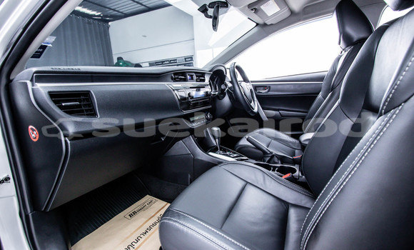 Buy Used Toyota Altis Other Car in Bangkok in Bangkok Buy Used Toyota Altis Other Car in Bangkok in Bangkok