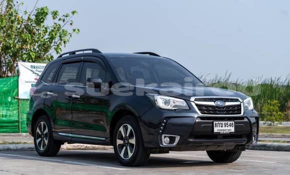 ซื้อ รถมือสอง Subaru Forester สีดำ รถยนต์ ใน %{เมือง} ใน กรุงเทพมหานคร ซื้อ รถมือสอง Subaru Forester สีดำ รถยนต์ ใน %{เมือง} ใน กรุงเทพมหานคร