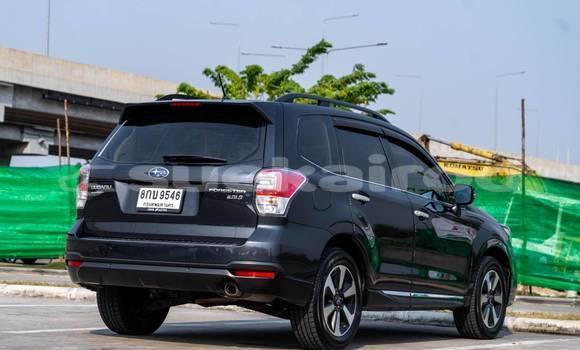 ซื้อ รถมือสอง Subaru Forester สีดำ รถยนต์ ใน %{เมือง} ใน กรุงเทพมหานคร ซื้อ รถมือสอง Subaru Forester สีดำ รถยนต์ ใน %{เมือง} ใน กรุงเทพมหานคร
