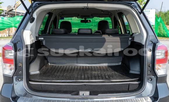 ซื้อ รถมือสอง Subaru Forester สีดำ รถยนต์ ใน %{เมือง} ใน กรุงเทพมหานคร ซื้อ รถมือสอง Subaru Forester สีดำ รถยนต์ ใน %{เมือง} ใน กรุงเทพมหานคร