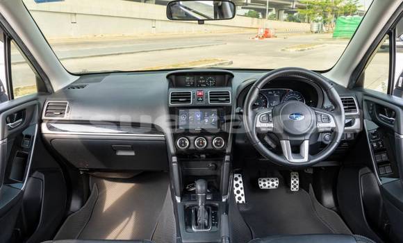 ซื้อ รถมือสอง Subaru Forester สีดำ รถยนต์ ใน %{เมือง} ใน กรุงเทพมหานคร ซื้อ รถมือสอง Subaru Forester สีดำ รถยนต์ ใน %{เมือง} ใน กรุงเทพมหานคร