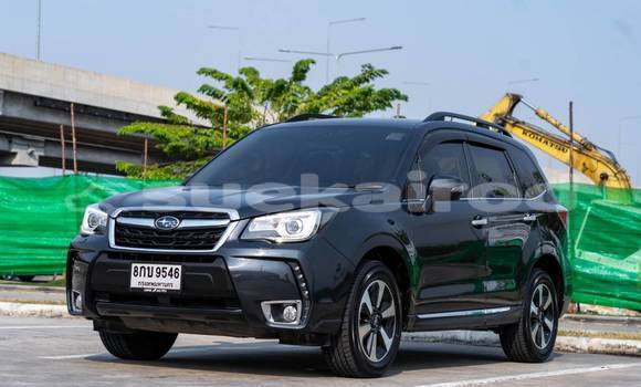 ซื้อ รถมือสอง Subaru Forester สีดำ รถยนต์ ใน %{เมือง} ใน กรุงเทพมหานคร ซื้อ รถมือสอง Subaru Forester สีดำ รถยนต์ ใน %{เมือง} ใน กรุงเทพมหานคร
