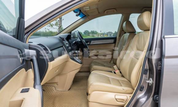 ซื้อ รถมือสอง Honda CR-V อื่น ๆ รถยนต์ ใน %{เมือง} ใน กรุงเทพมหานคร ซื้อ รถมือสอง Honda CR-V อื่น ๆ รถยนต์ ใน %{เมือง} ใน กรุงเทพมหานคร