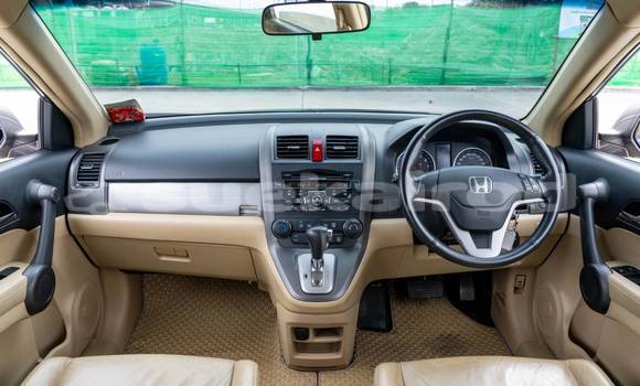 ซื้อ รถมือสอง Honda CR-V อื่น ๆ รถยนต์ ใน %{เมือง} ใน กรุงเทพมหานคร ซื้อ รถมือสอง Honda CR-V อื่น ๆ รถยนต์ ใน %{เมือง} ใน กรุงเทพมหานคร