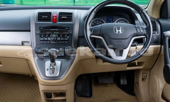 ซื้อ รถมือสอง Honda CR-V อื่น ๆ รถยนต์ ใน %{เมือง} ใน กรุงเทพมหานคร ซื้อ รถมือสอง Honda CR-V อื่น ๆ รถยนต์ ใน %{เมือง} ใน กรุงเทพมหานคร