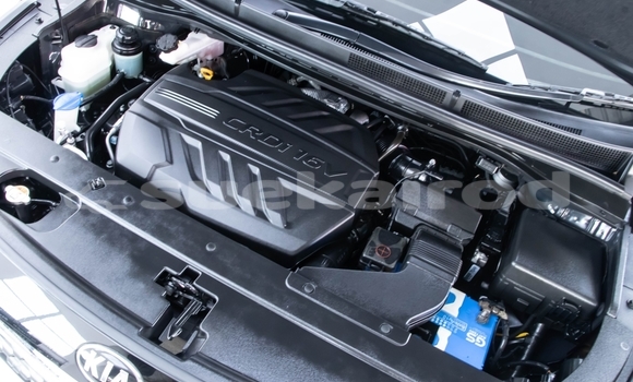 ซื้อ รถมือสอง Kia Carnival สีดำ รถยนต์ ใน %{เมือง} ใน กรุงเทพมหานคร ซื้อ รถมือสอง Kia Carnival สีดำ รถยนต์ ใน %{เมือง} ใน กรุงเทพมหานคร