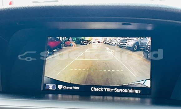 Buy Used Honda Accord Other Car in Bangkok in Bangkok Buy Used Honda Accord Other Car in Bangkok in Bangkok