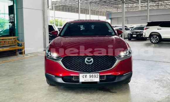 ซื้อ รถมือสอง Mazda MX-3 สีแดง รถยนต์ ใน %{เมือง} ใน กรุงเทพมหานคร ซื้อ รถมือสอง Mazda MX-3 สีแดง รถยนต์ ใน %{เมือง} ใน กรุงเทพมหานคร