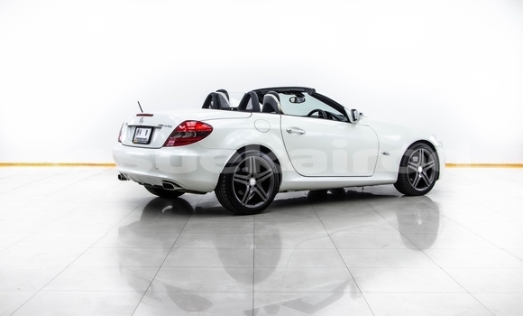 Buy Used Mercedes-Benz SLK-klasse White Car in Bangkok in Bangkok Buy Used Mercedes-Benz SLK-klasse White Car in Bangkok in Bangkok
