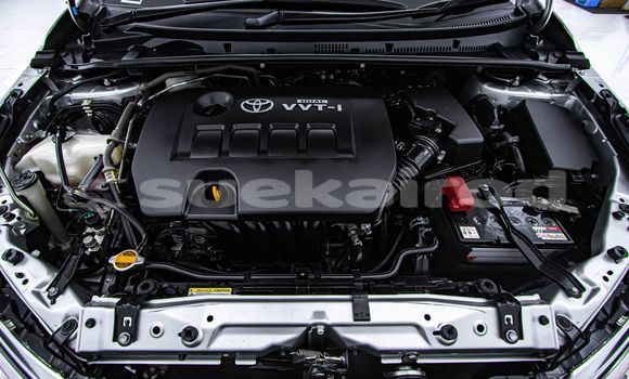 Buy Used Toyota Altis Other Car in Bangkok in Bangkok Buy Used Toyota Altis Other Car in Bangkok in Bangkok