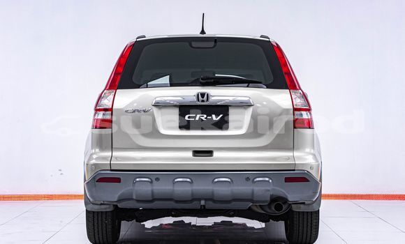 Buy Used Honda CR-V Brown Car in Bangkok in Bangkok Buy Used Honda CR-V Brown Car in Bangkok in Bangkok