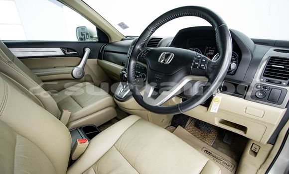 Buy Used Honda CR-V Brown Car in Bangkok in Bangkok Buy Used Honda CR-V Brown Car in Bangkok in Bangkok