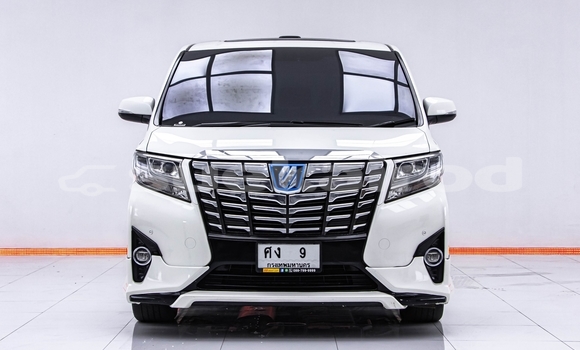 Buy Used Toyota Alphard White Car in Bangkok in Bangkok