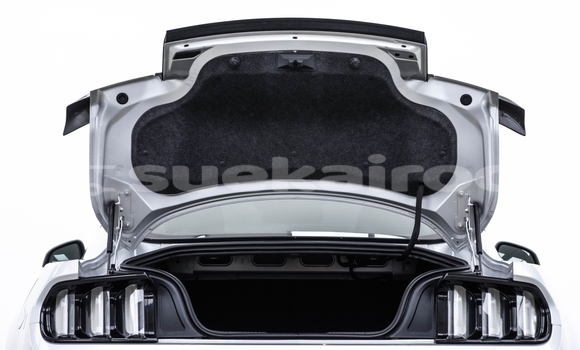 Buy Used Ford Mustang Other Car in Bangkok in Bangkok Buy Used Ford Mustang Other Car in Bangkok in Bangkok