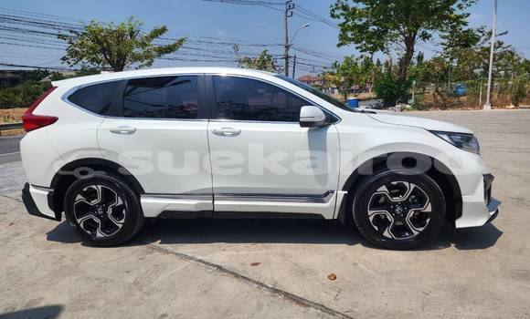 ซื้อ รถมือสอง Honda CR-V ขาว รถยนต์ ใน %{เมือง} ใน กรุงเทพมหานคร ซื้อ รถมือสอง Honda CR-V ขาว รถยนต์ ใน %{เมือง} ใน กรุงเทพมหานคร