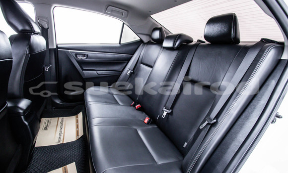 ซื้อ รถมือสอง Toyota Altis ขาว รถยนต์ ใน %{เมือง} ใน กรุงเทพมหานคร ซื้อ รถมือสอง Toyota Altis ขาว รถยนต์ ใน %{เมือง} ใน กรุงเทพมหานคร