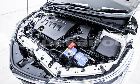 ซื้อ รถมือสอง Toyota Altis ขาว รถยนต์ ใน %{เมือง} ใน กรุงเทพมหานคร ซื้อ รถมือสอง Toyota Altis ขาว รถยนต์ ใน %{เมือง} ใน กรุงเทพมหานคร