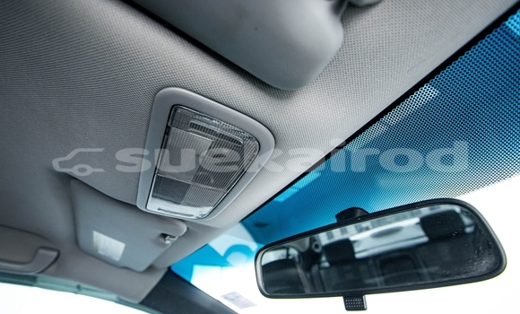 ซื้อ รถมือสอง Honda Civic ขาว รถยนต์ ใน %{เมือง} ใน กรุงเทพมหานคร ซื้อ รถมือสอง Honda Civic ขาว รถยนต์ ใน %{เมือง} ใน กรุงเทพมหานคร