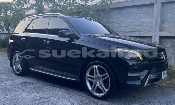 Buy Used Mercedes Viano Other Car in Mae Hong Son in Mae Hong Son