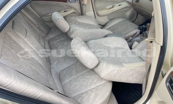 ซื้อ รถมือสอง Nissan Sunny ขาว รถยนต์ ใน %{เมือง} ใน กรุงเทพมหานคร ซื้อ รถมือสอง Nissan Sunny ขาว รถยนต์ ใน %{เมือง} ใน กรุงเทพมหานคร