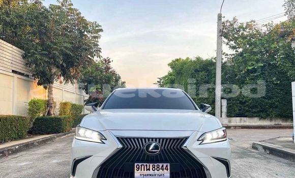 ซื้อ รถมือสอง Lexus ES ขาว รถยนต์ ใน %{เมือง} ใน กรุงเทพมหานคร ซื้อ รถมือสอง Lexus ES ขาว รถยนต์ ใน %{เมือง} ใน กรุงเทพมหานคร