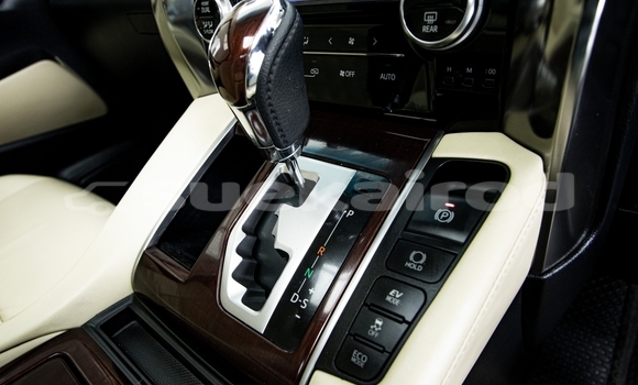 ซื้อ รถมือสอง Toyota Alphard ขาว รถยนต์ ใน %{เมือง} ใน กรุงเทพมหานคร ซื้อ รถมือสอง Toyota Alphard ขาว รถยนต์ ใน %{เมือง} ใน กรุงเทพมหานคร