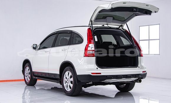 ซื้อ รถมือสอง Honda CR-V ขาว รถยนต์ ใน %{เมือง} ใน กรุงเทพมหานคร ซื้อ รถมือสอง Honda CR-V ขาว รถยนต์ ใน %{เมือง} ใน กรุงเทพมหานคร