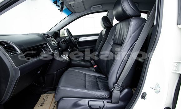 ซื้อ รถมือสอง Honda CR-V ขาว รถยนต์ ใน %{เมือง} ใน กรุงเทพมหานคร ซื้อ รถมือสอง Honda CR-V ขาว รถยนต์ ใน %{เมือง} ใน กรุงเทพมหานคร