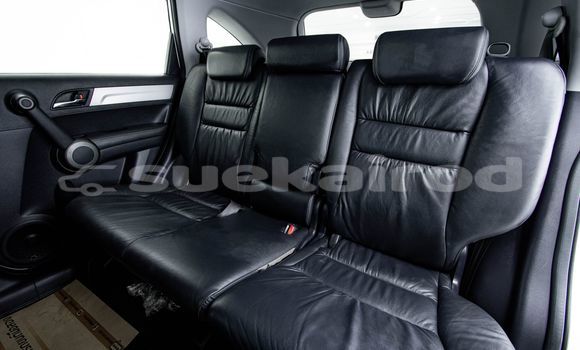 ซื้อ รถมือสอง Honda CR-V ขาว รถยนต์ ใน %{เมือง} ใน กรุงเทพมหานคร ซื้อ รถมือสอง Honda CR-V ขาว รถยนต์ ใน %{เมือง} ใน กรุงเทพมหานคร