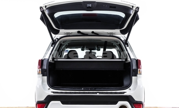 ซื้อ รถมือสอง Subaru Forester ขาว รถยนต์ ใน %{เมือง} ใน กรุงเทพมหานคร ซื้อ รถมือสอง Subaru Forester ขาว รถยนต์ ใน %{เมือง} ใน กรุงเทพมหานคร