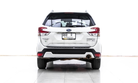 ซื้อ รถมือสอง Subaru Forester ขาว รถยนต์ ใน %{เมือง} ใน กรุงเทพมหานคร ซื้อ รถมือสอง Subaru Forester ขาว รถยนต์ ใน %{เมือง} ใน กรุงเทพมหานคร