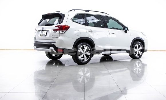 ซื้อ รถมือสอง Subaru Forester ขาว รถยนต์ ใน %{เมือง} ใน กรุงเทพมหานคร ซื้อ รถมือสอง Subaru Forester ขาว รถยนต์ ใน %{เมือง} ใน กรุงเทพมหานคร